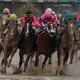 Image for article titled The Kentucky Derby Proves That Even The Losers Get Lucky Sometimes